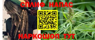индика Дубна