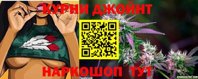 амф Донской