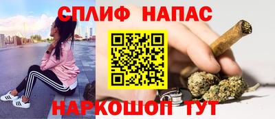 амф Донской