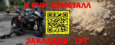 амф Донской